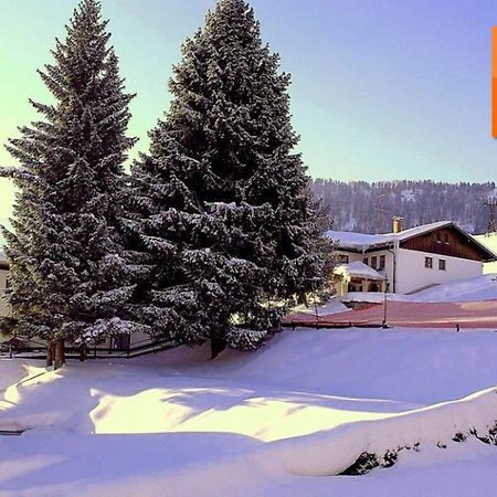 Appartement Nr 19, Alpenappartementhaus, Oberstaufen-Steibis, Allgaeu, Oberstaufen Plus Екстериор снимка