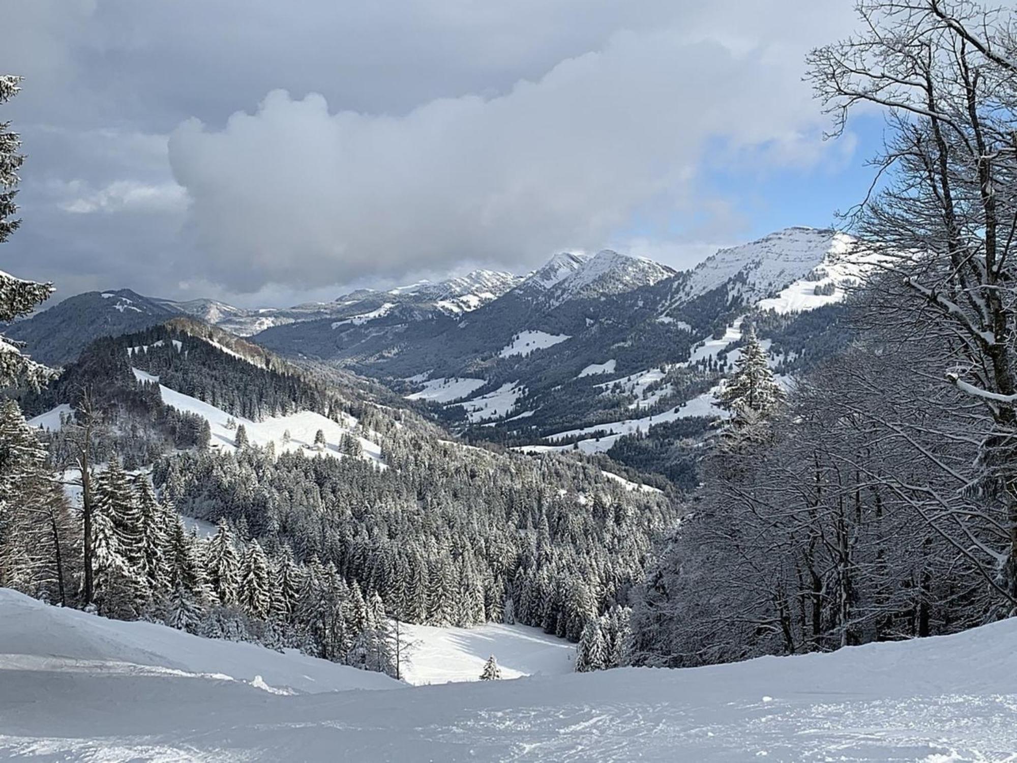 Appartement Nr 19, Alpenappartementhaus, Oberstaufen-Steibis, Allgaeu, Oberstaufen Plus Екстериор снимка